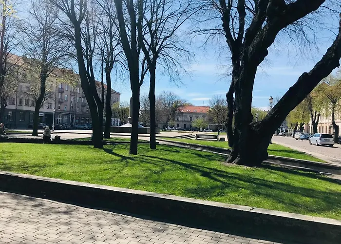 Cozy And Bright Sauliu Studio In Klaipeda