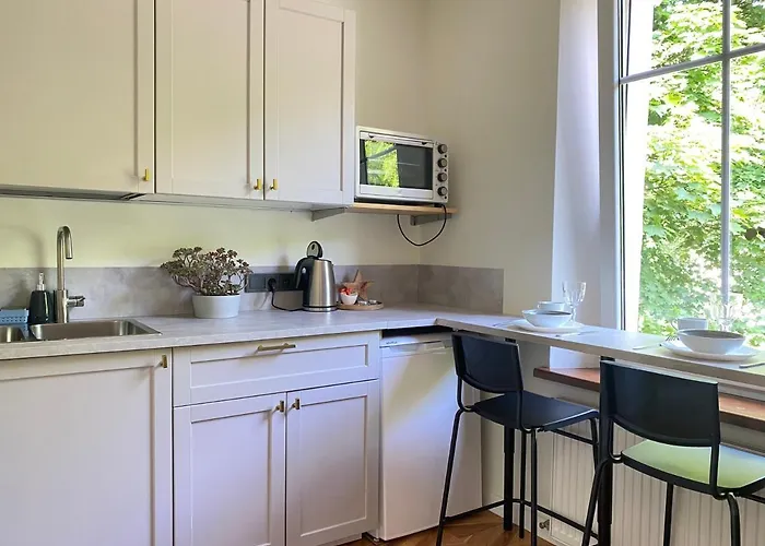 Cozy And Bright Sauliu Studio In Klaipeda