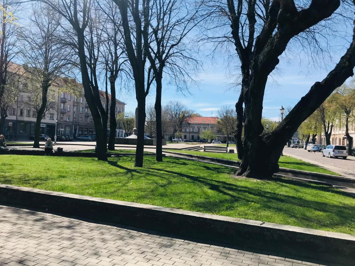 Cozy And Bright Sauliu In * Klaipėda